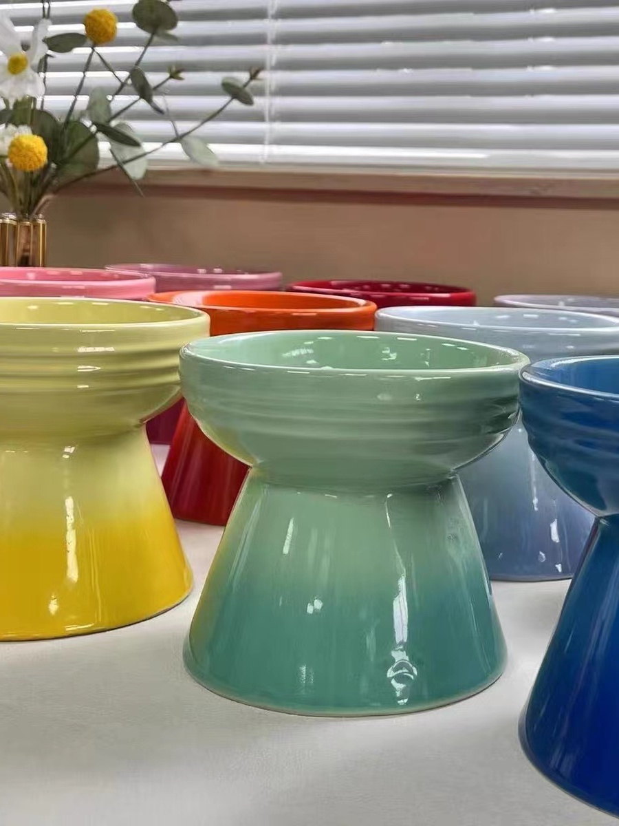 Le Creuset Cool Color Ceramic  - Royal Canin Food Medium review and price