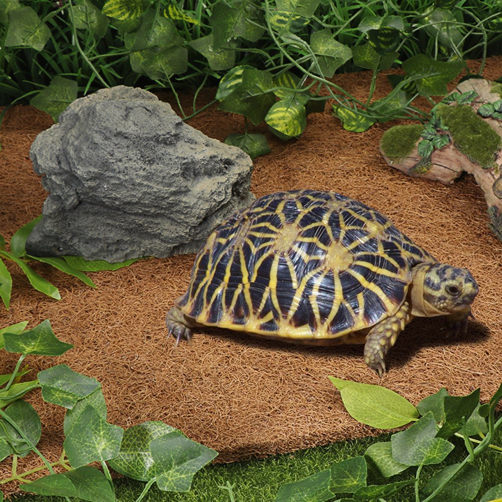 Reptile Substrate Carpet Made  - Substrate Coconut Fiber review and price